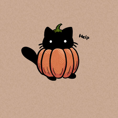 Pumpkin cat